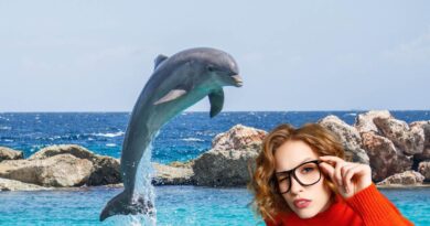 Sonhar com golfinho