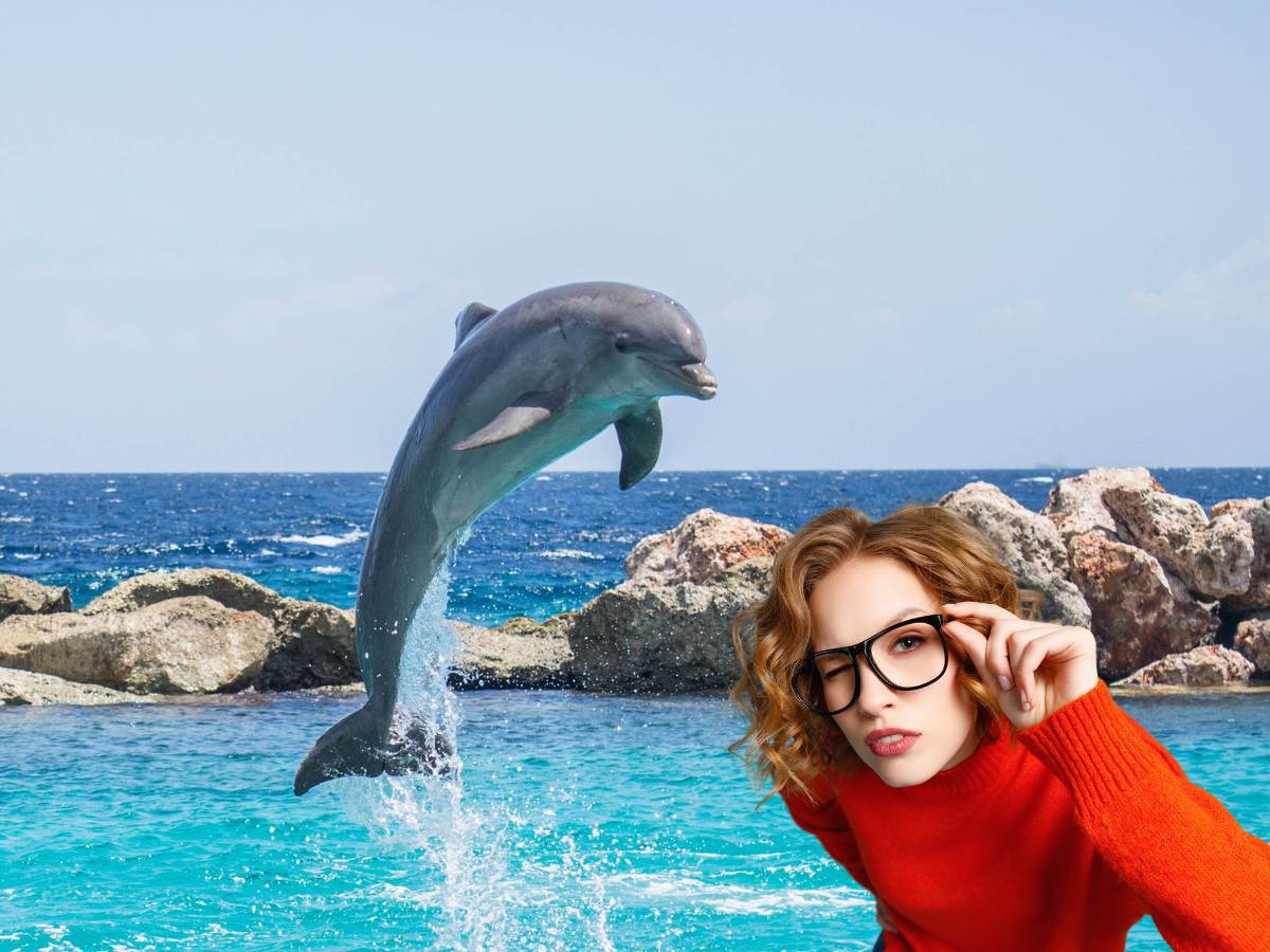 Sonhar com golfinho